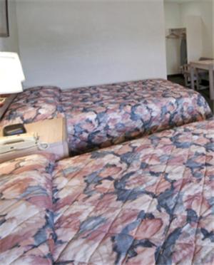 American Eagle Inn Fayetteville Habitación foto
